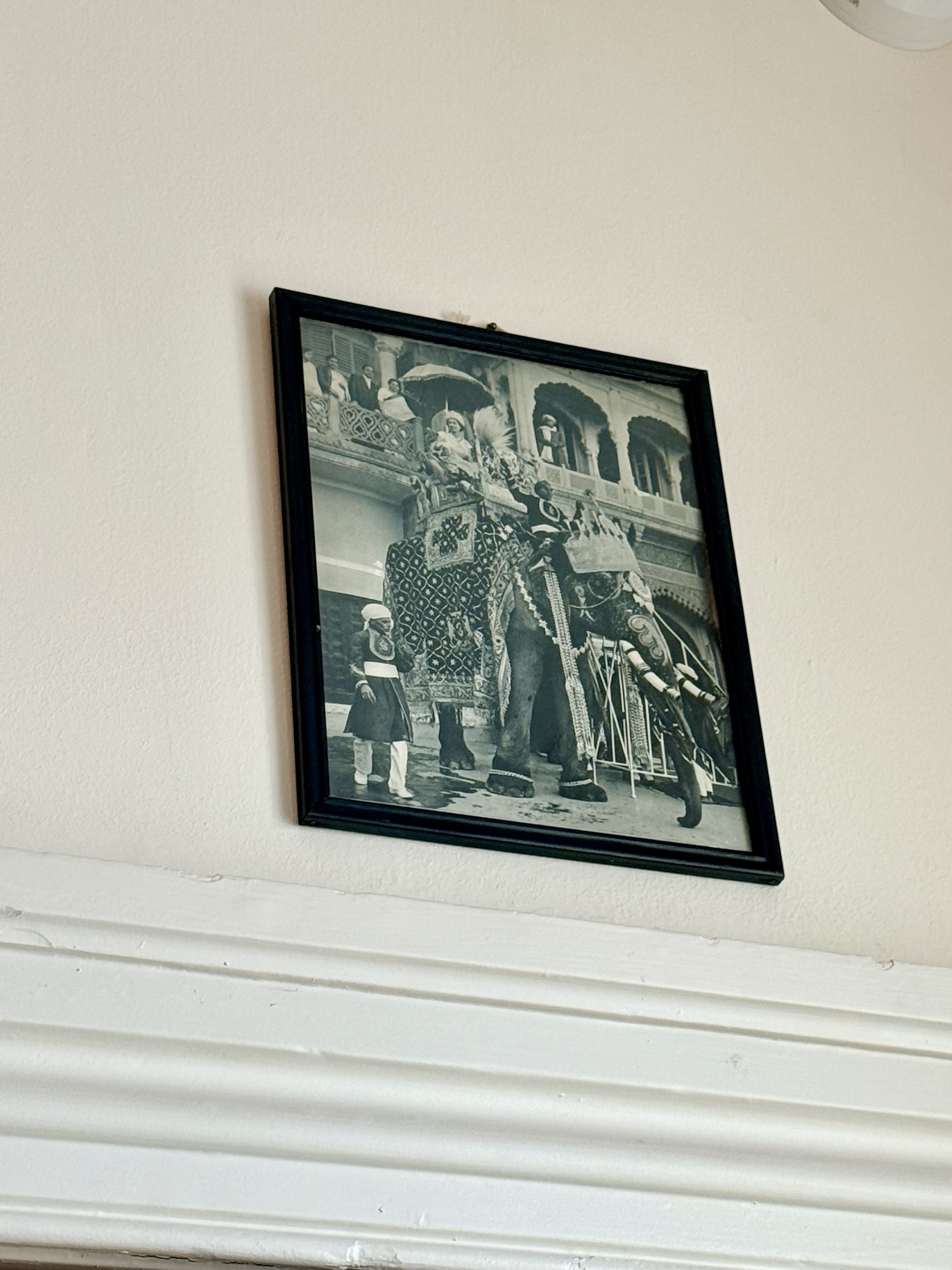 A framed print of an Indian elephant from Marianne Moore's collection